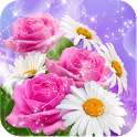 3D Spring Flower on 9Apps