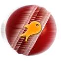 Riversip Cricket News