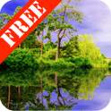Forest Pond FREE
