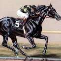 Racing horse Wallpaper on 9Apps