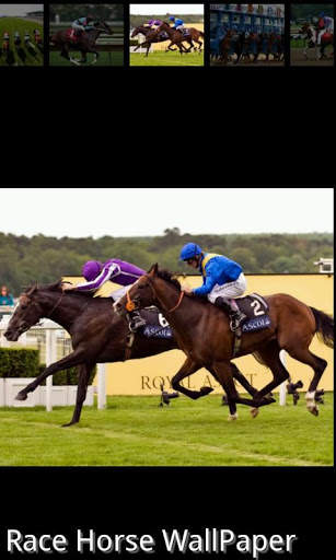Racing horse Wallpaper screenshot 2