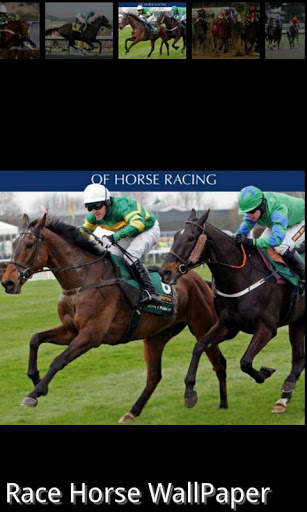 Racing horse Wallpaper screenshot 5