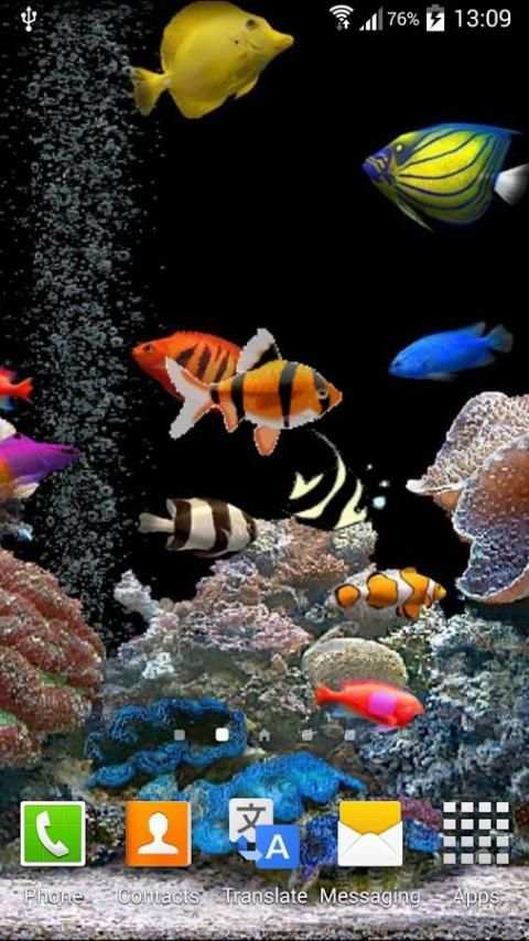 Aquarium Live Wallpaper 3 تصوير الشاشة