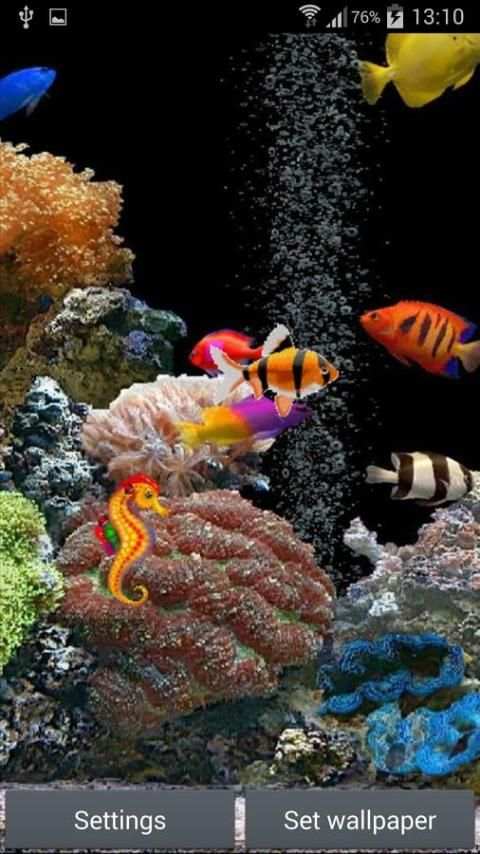 Aquarium Live Wallpaper 2 تصوير الشاشة