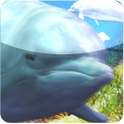 dolphin free live wallpaper on 9Apps