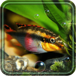 Fishes Aquarium أيقونة