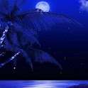 Moon Midnight LWP