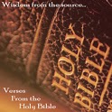 Verses from Holy Bible (Lite) icon