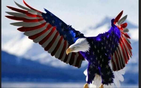 USA Flag Wallpapers 1 تصوير الشاشة