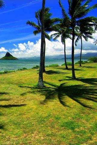 Hawaii Scenery Wallpaper скриншот 3