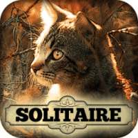 Solitaire: Little Lovebugs