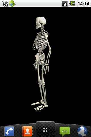 Funny dancing skeletonLWP FREE screenshot 1