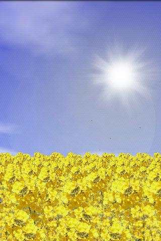 Rape Field FREE screenshot 1