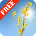 Rape Field FREE icon