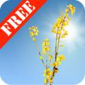 Rape Field FREE 1.01