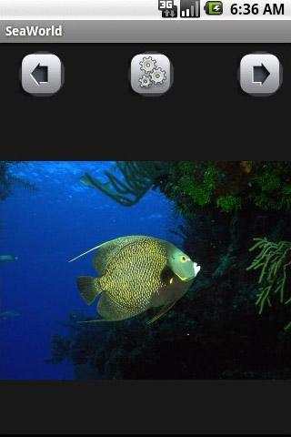 Sea World Wallpaper screenshot 1