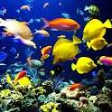 SeaWorld 1.0