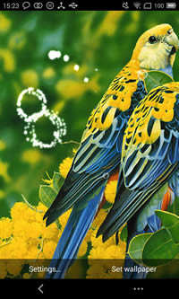 Cute Bird Live Wallpaper screenshot 2
