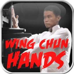 Wing Chun Hands