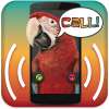 Parrot Announcer - Call Talker on 9Apps
