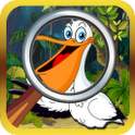 Bird Find 12