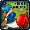 Cricket World Cup Challenges 1.4