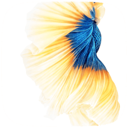 Gold Fish Live wallpaer आइकन