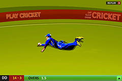 Cricket Fever1.0 screenshot 1