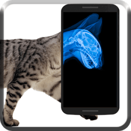 Cat Xray Prank icon
