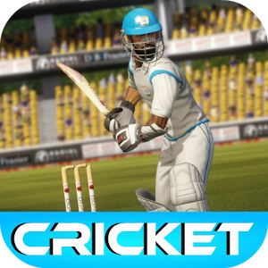 Cricket Game 2015 icon