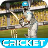 Cricket Game 2015