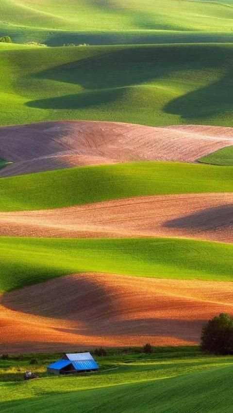 Beautiful Nature Wallpapers screenshot 5