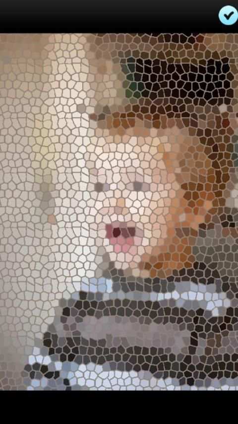Mosaic Photos screenshot 2