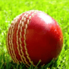 Cricket News worldCup 2015 icon