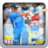 Real Cricket Puzzle 1.2