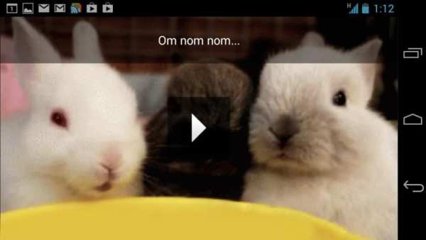 Funny GIFs screenshot 5