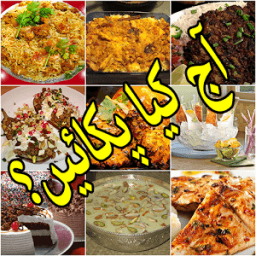 Pakistani Recipes in Urdu أيقونة