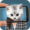 Face scanner: What cat 2