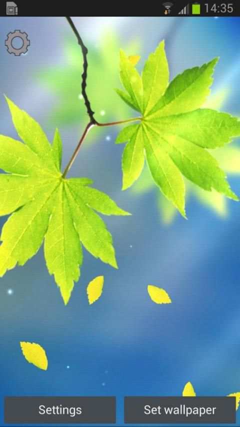 Leaf Live Wallpaper screenshot 3