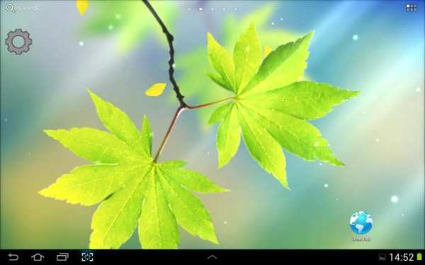 Leaf Live Wallpaper screenshot 4