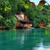 Nature Live wallpaper 1.6