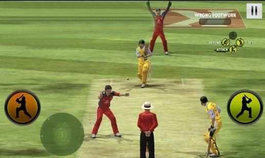 Play Cricket Worldcup 2015 screenshot 4