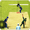 Play Cricket Worldcup 2015 icon