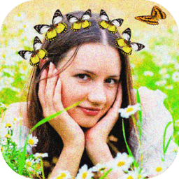 Butterfly Crown иконка