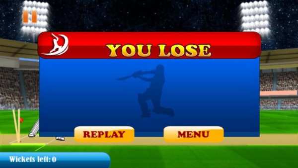 Cricket Championship 2015 screenshot 3