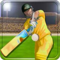 Play Cricket Worldcup 2015