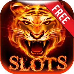 Fire Tiger: Free Slots Casino