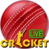 Cricket - Live Multiplayer