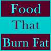 food that burn fat on 9Apps