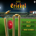 ikon Mobile Cricket Games